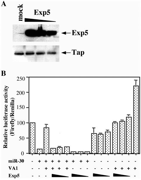 FIG. 5.