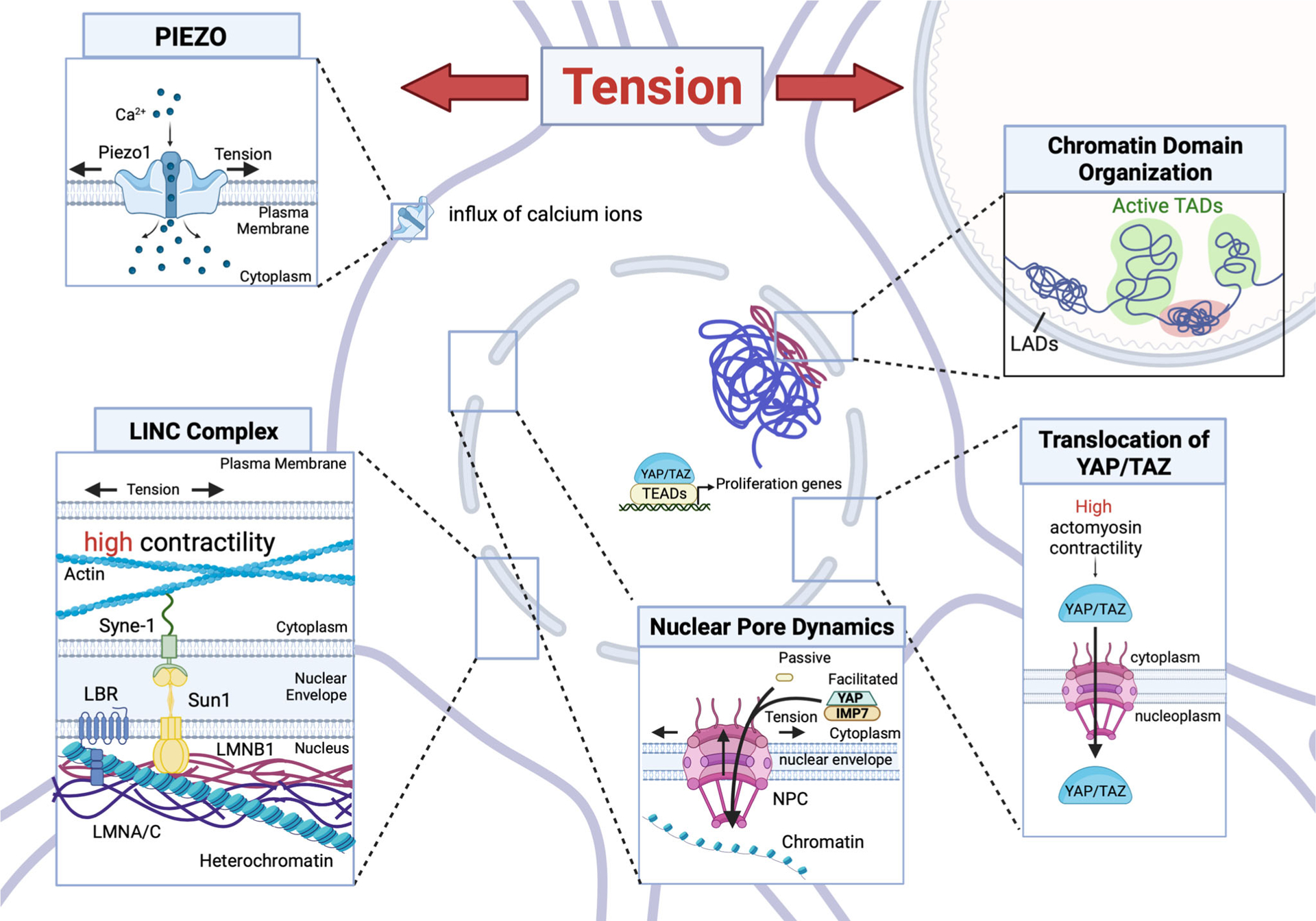 FIGURE 3