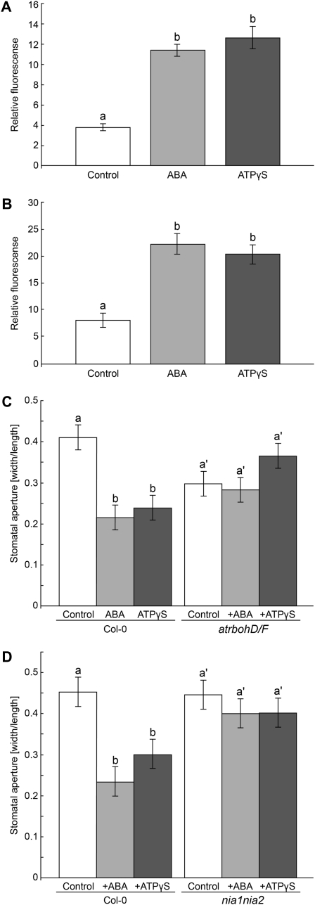 Figure 7.