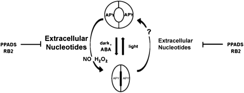 Figure 10.