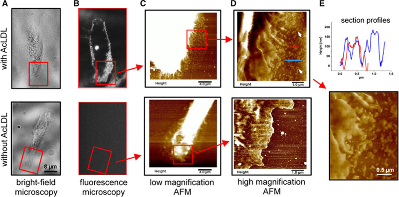 Figure 4.