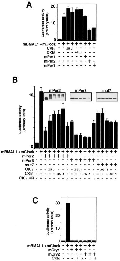 FIG. 7.