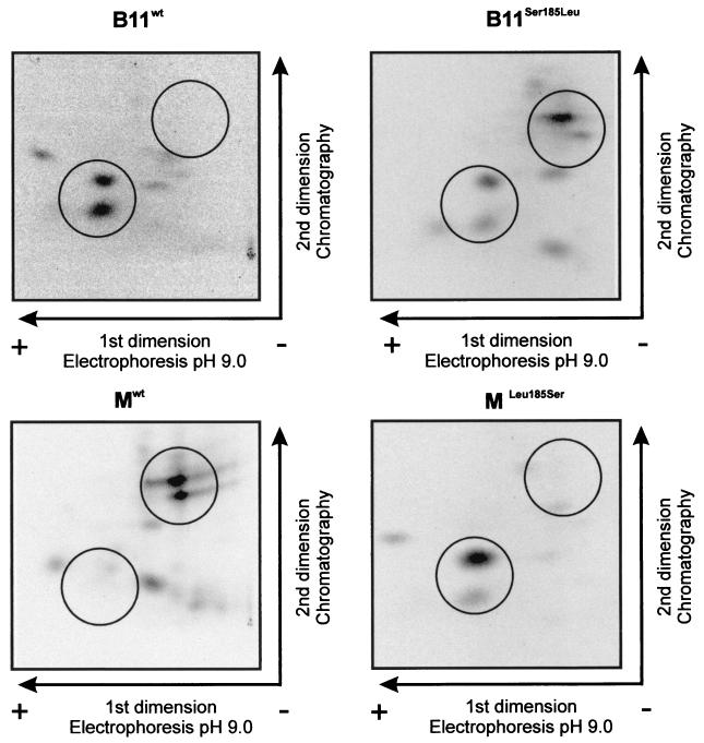 FIG. 7.