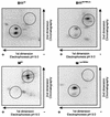 FIG. 7.
