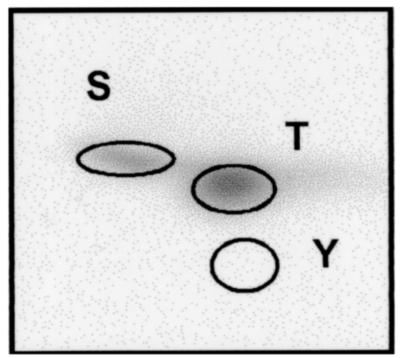 FIG. 5.