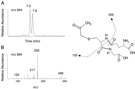 Fig. 8.