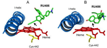 Fig. 10.