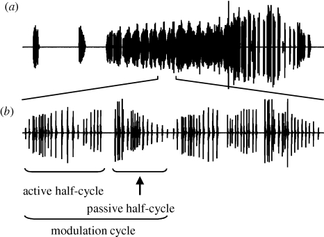 Figure 1.