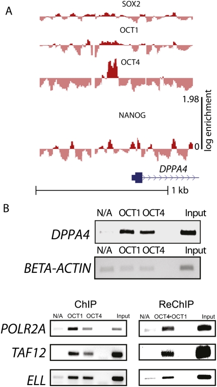 Figure 2.