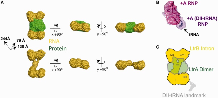 Figure 7.