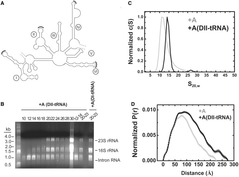 Figure 6.