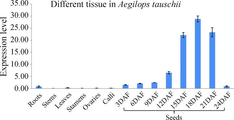 Figure 5