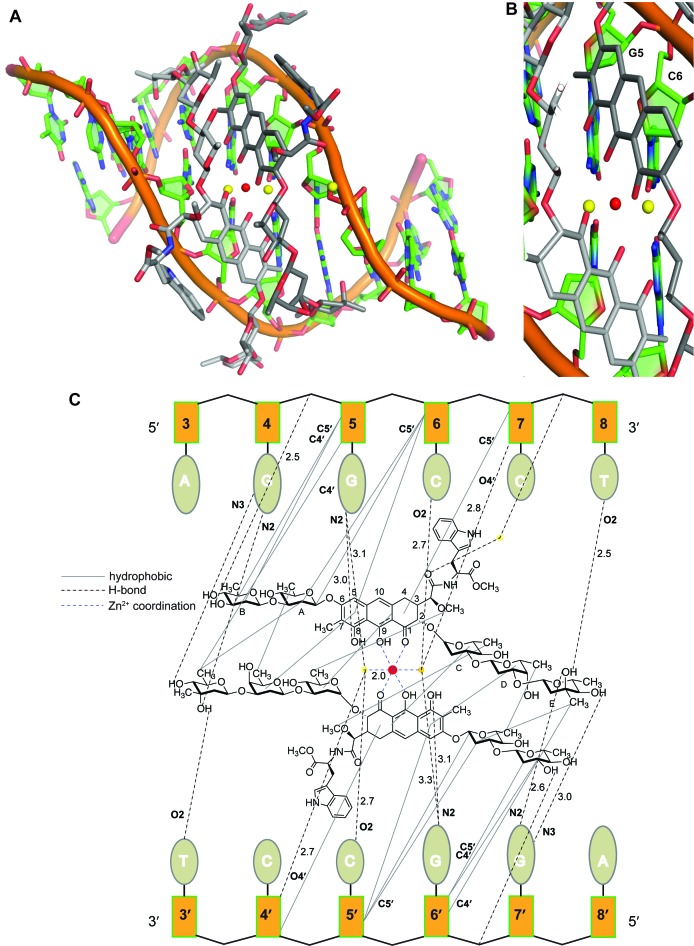 Figure 2.