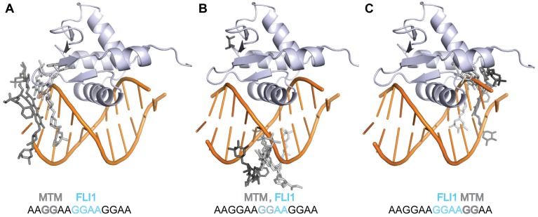 Figure 10.