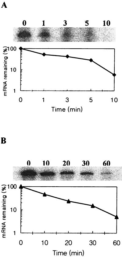 FIG. 5