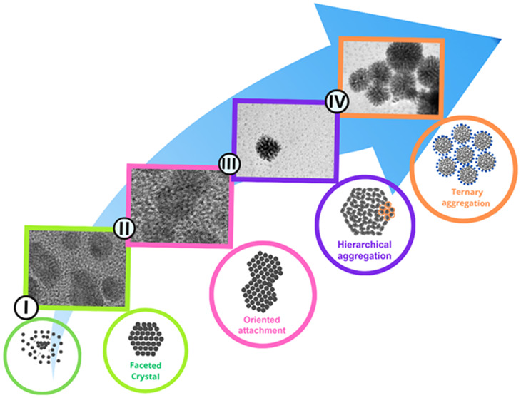 graphic file with name am5c05268_0010.jpg