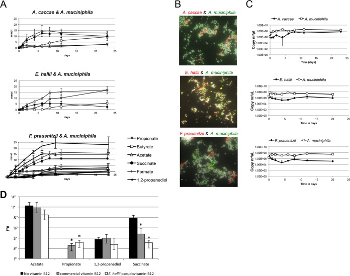 FIG 3 