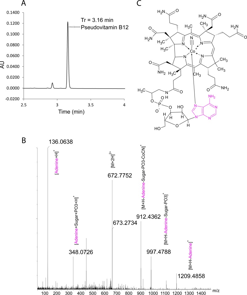 FIG 4 