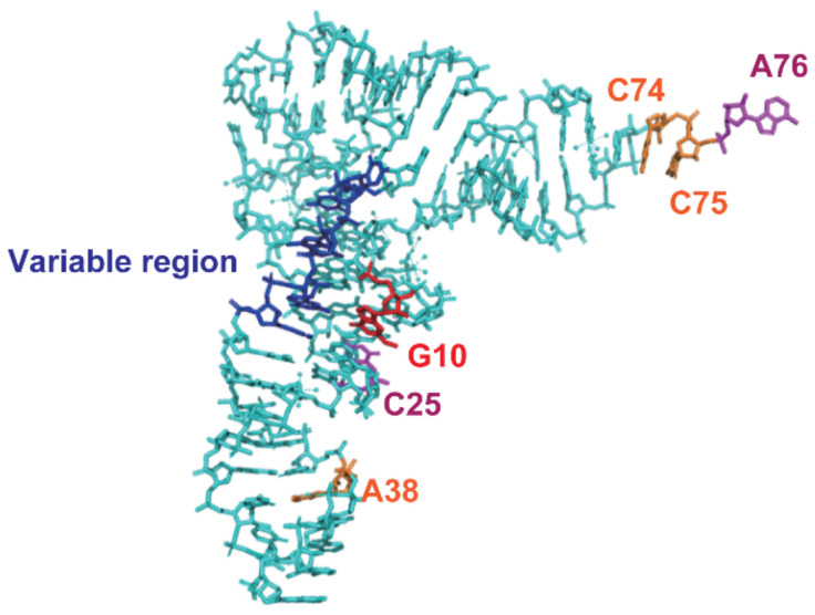 Figure 13