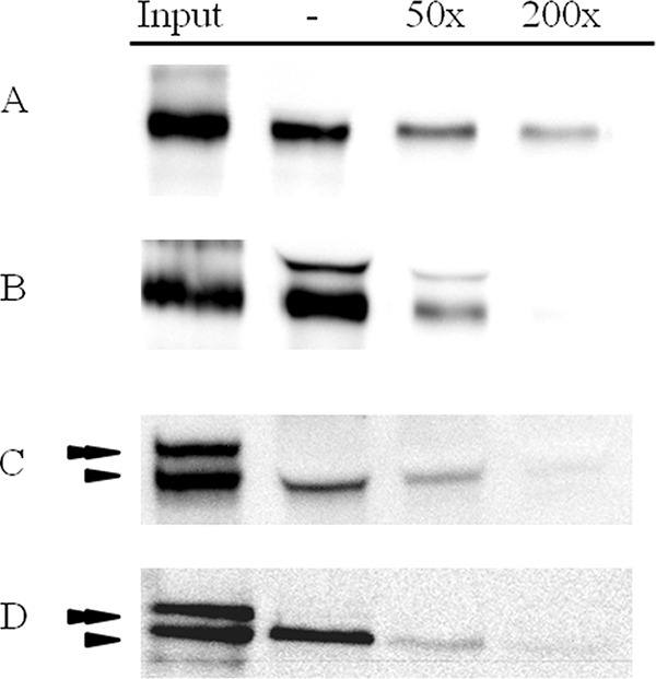 FIG 2