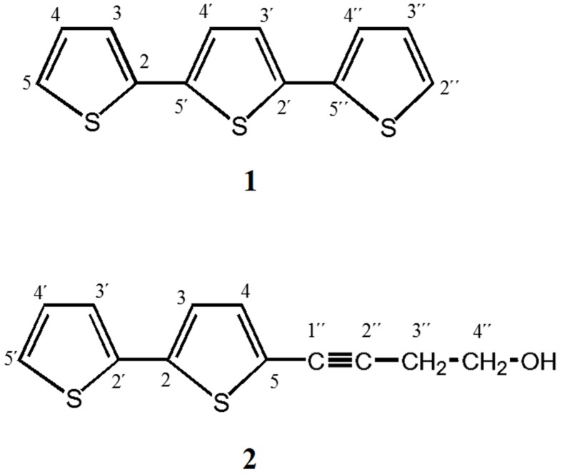 FIGURE 8