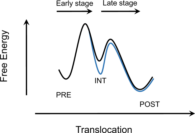 Figure 7.