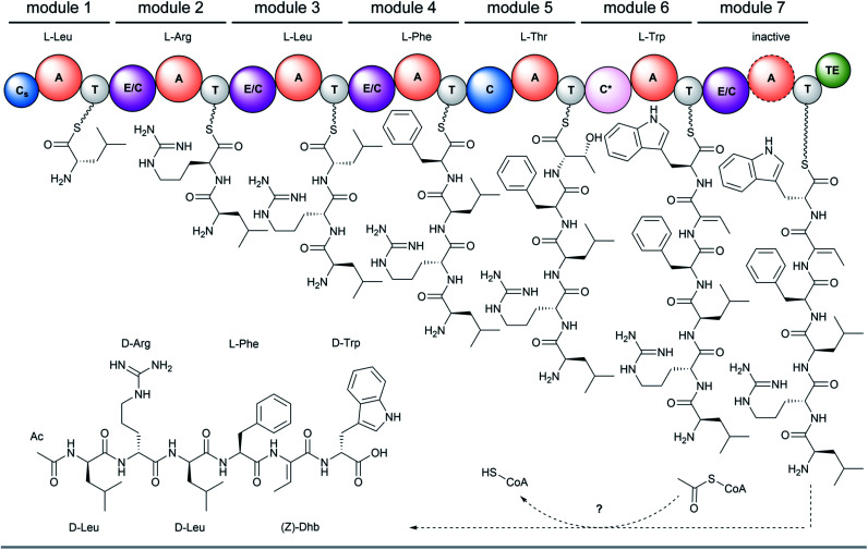 Fig. 3