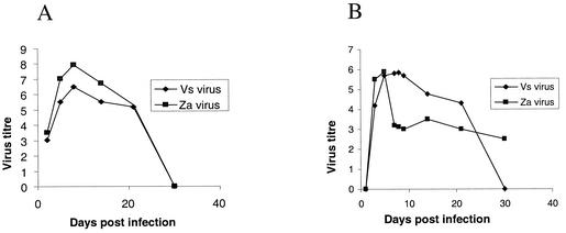 FIG. 2.