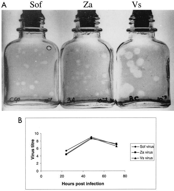 FIG. 1.