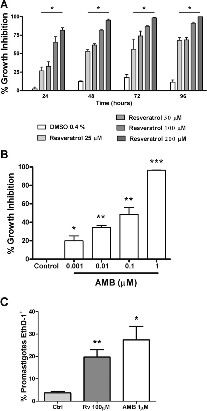 FIG 1