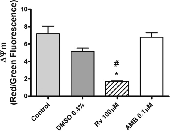 FIG 4