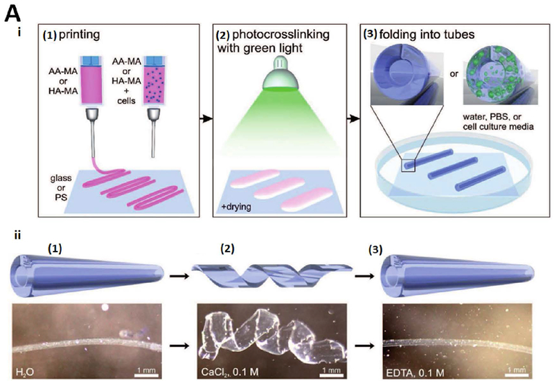 Figure 11.