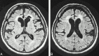 <sc>fig</sc> 3.