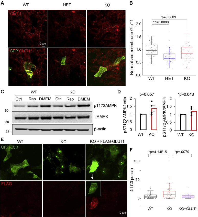 Figure 6