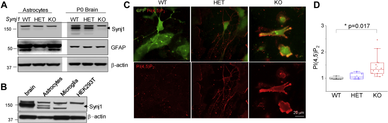 Figure 1