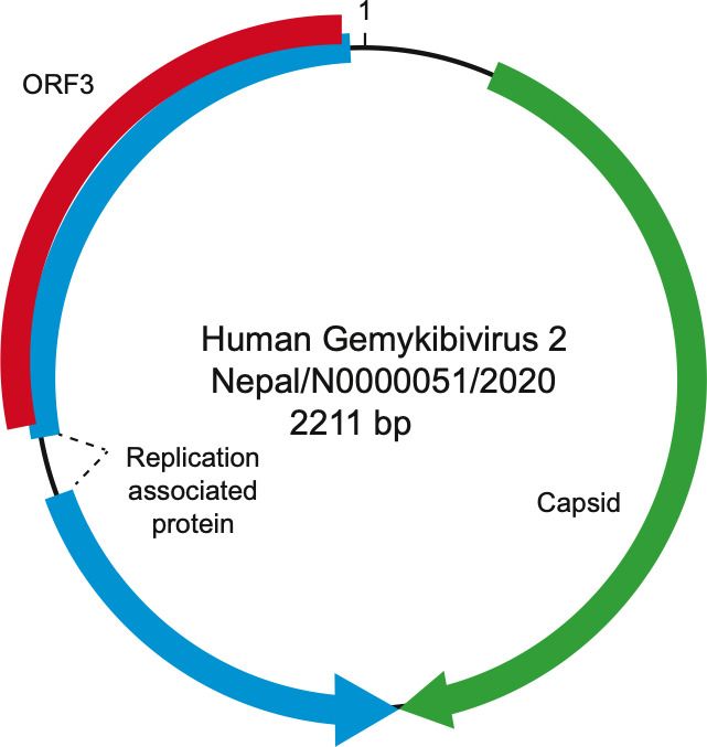 Fig 2