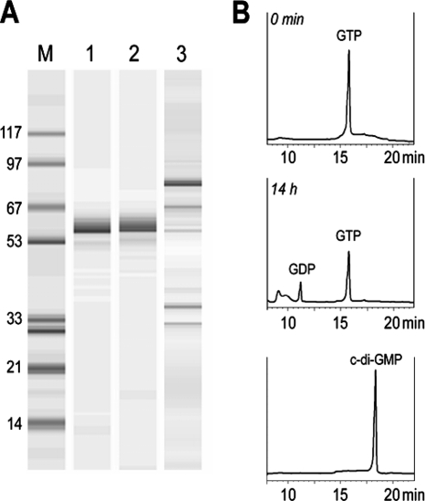 FIG. 6.