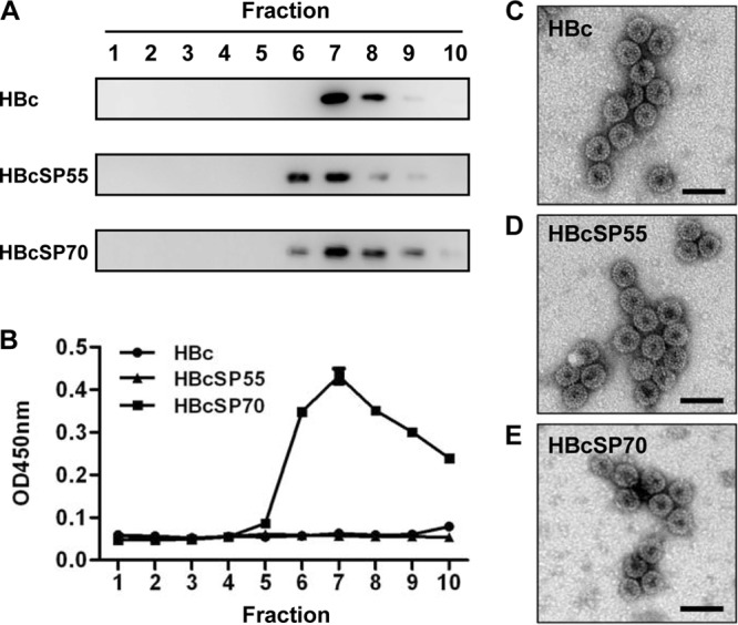 FIG 2