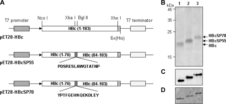 FIG 1