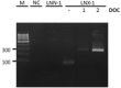 Fig. 2: