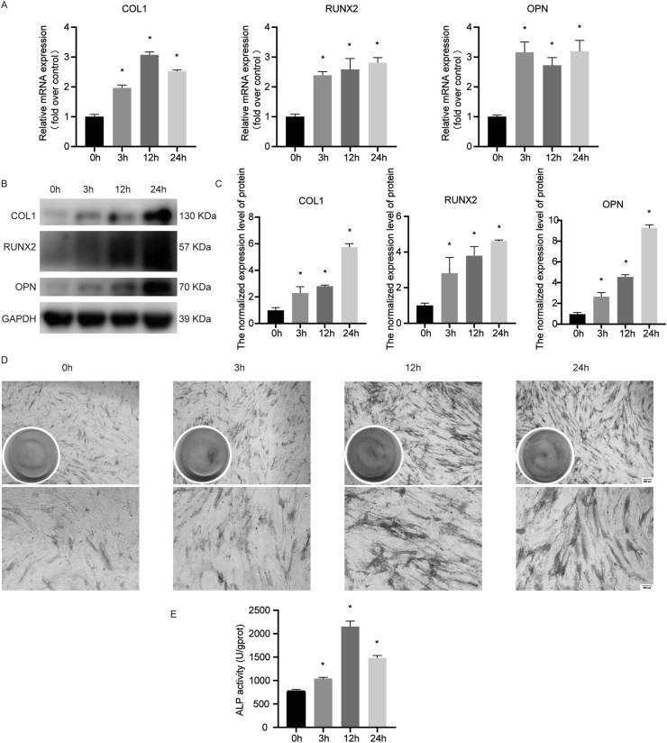 Figure 2