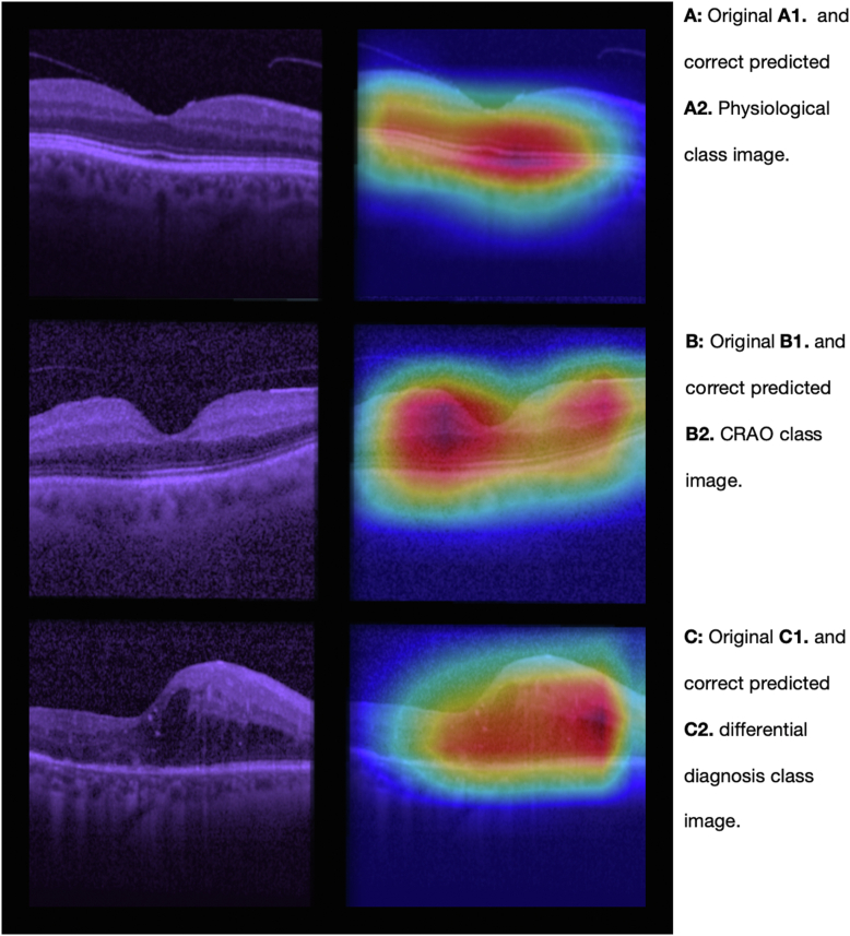 Figure 2