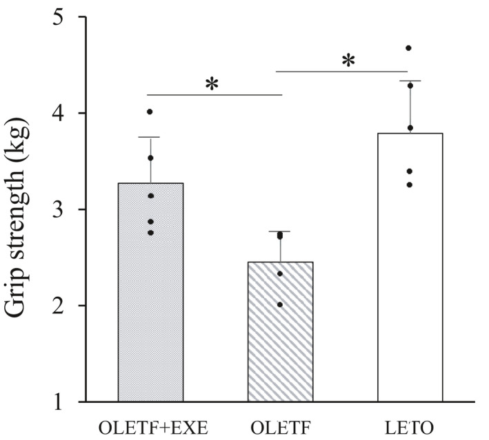 FIGURE 3