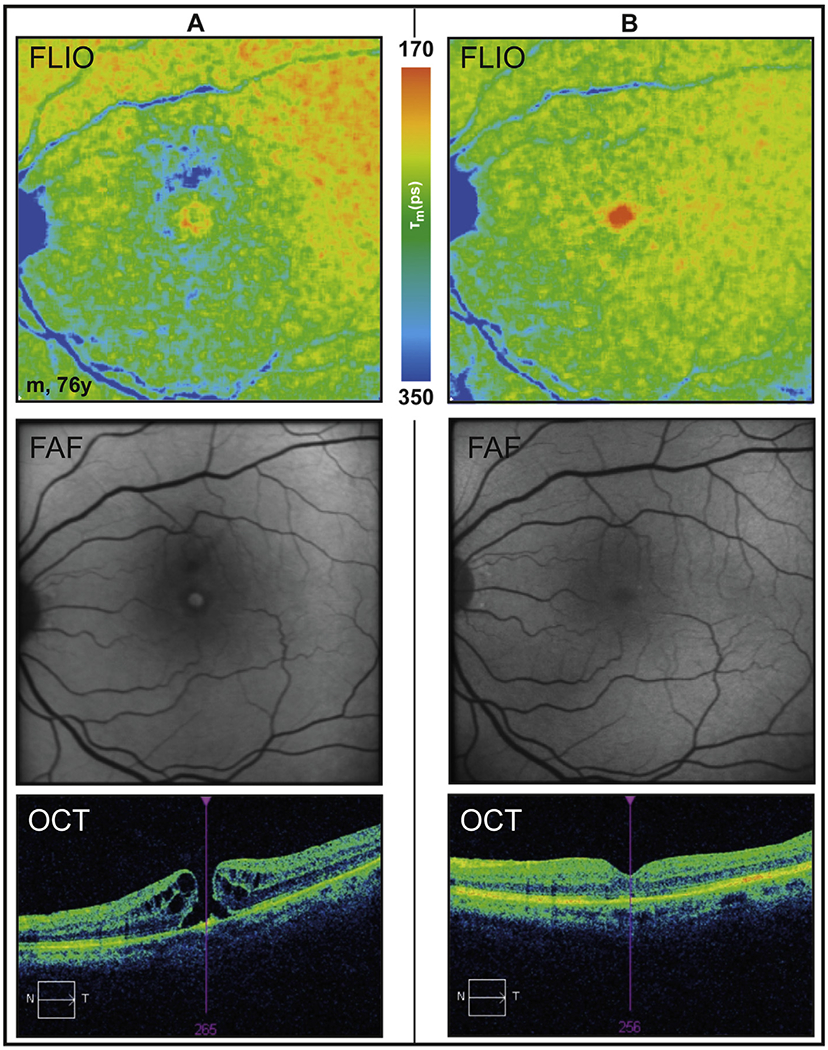 Fig. 8.