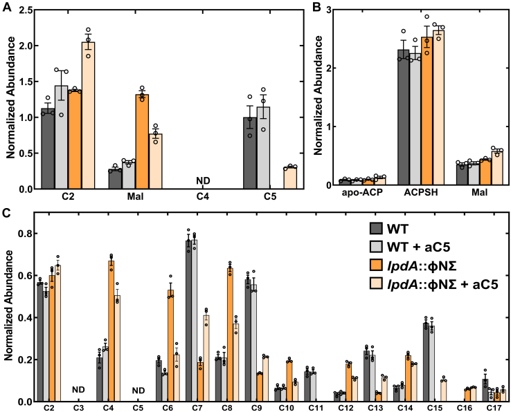 Figure 3