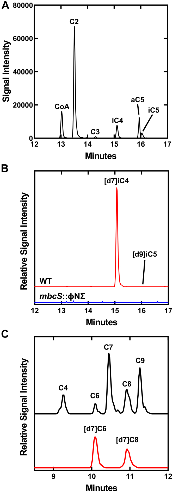 Figure 7