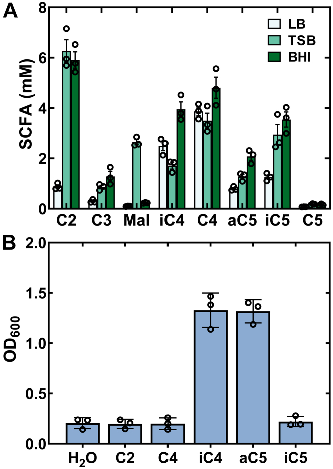 Figure 4