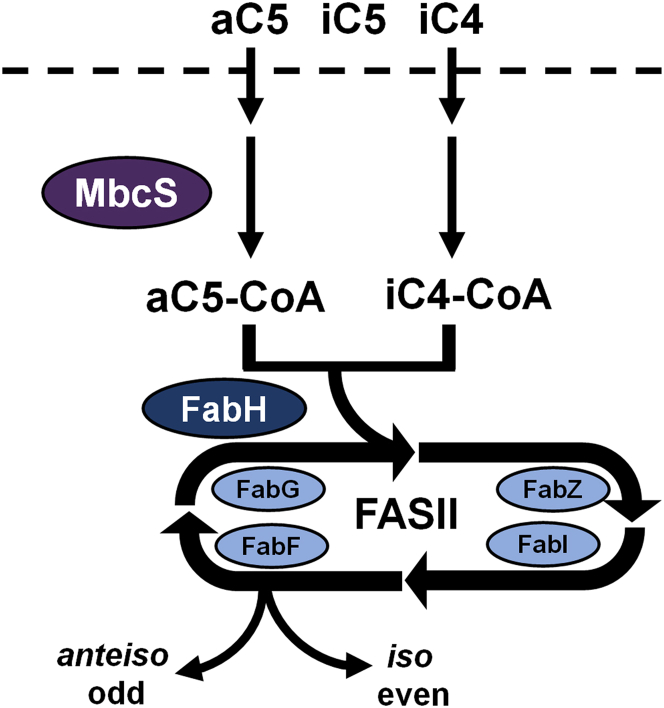 Figure 9