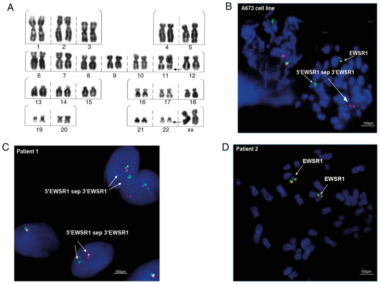 Figure 2.