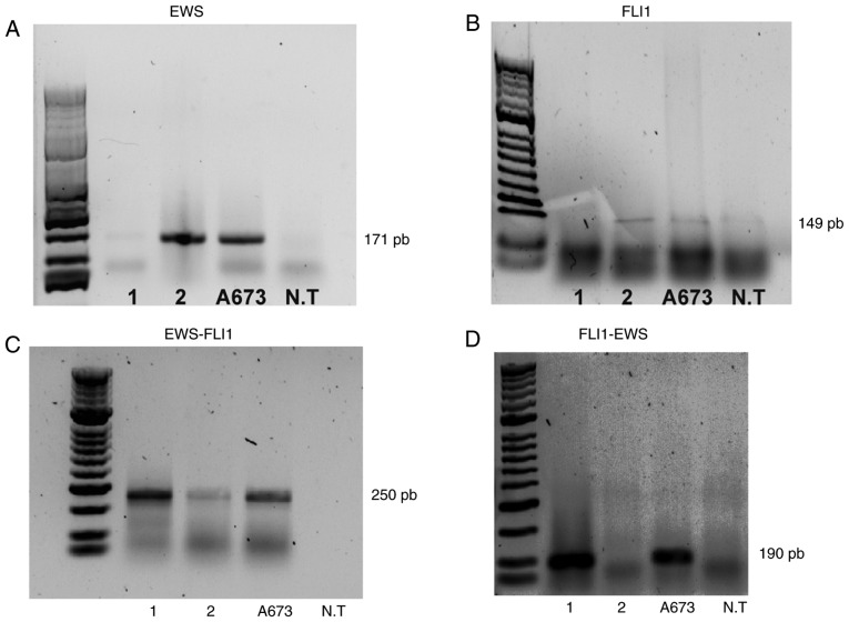 Figure 3.